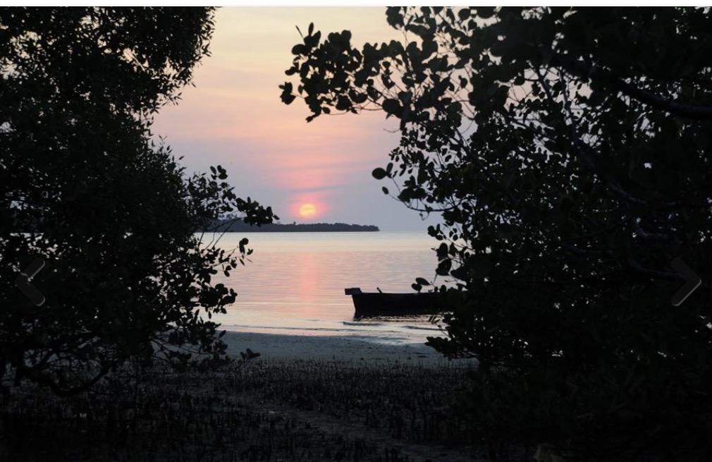 Lala Lodge Pemba Zanzibar Mgini エクステリア 写真